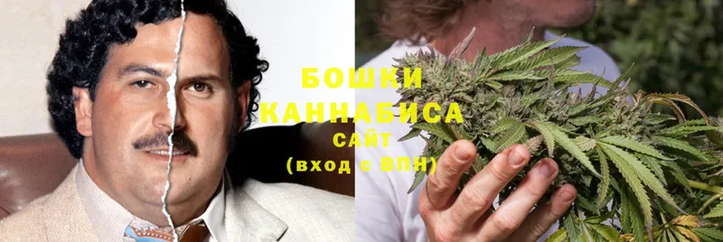 mega как зайти  даркнет сайт  Ленск  Бошки марихуана Ganja 